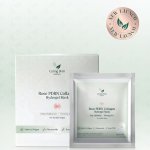 Rose PDRN Collagen Hydrogel Mask